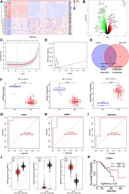 Disruption of LTBP4 Inhibition-Induced TGFβ1 Activation Promoted Cell Proliferation and Metastasis in Skin Melanoma by Inhibiting the Activation of the Hippo-YAP1 Signaling Pathway